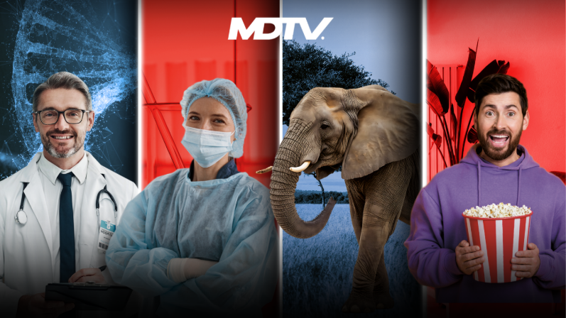 MDTV — Πανόραμα προγράμματος
